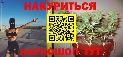 сатива Славгород