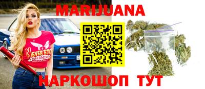 сатива Славгород