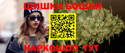 сатива Славгород