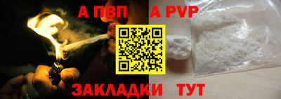 сатива Славгород