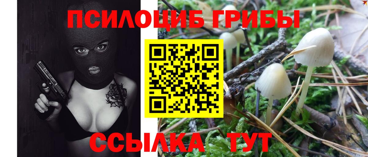 Псилоцибиновые грибы MAGIC MUSHROOMS  Вход с VPN  Галлюциногенные грибы GOLDEN TEACHER  Отрадный 